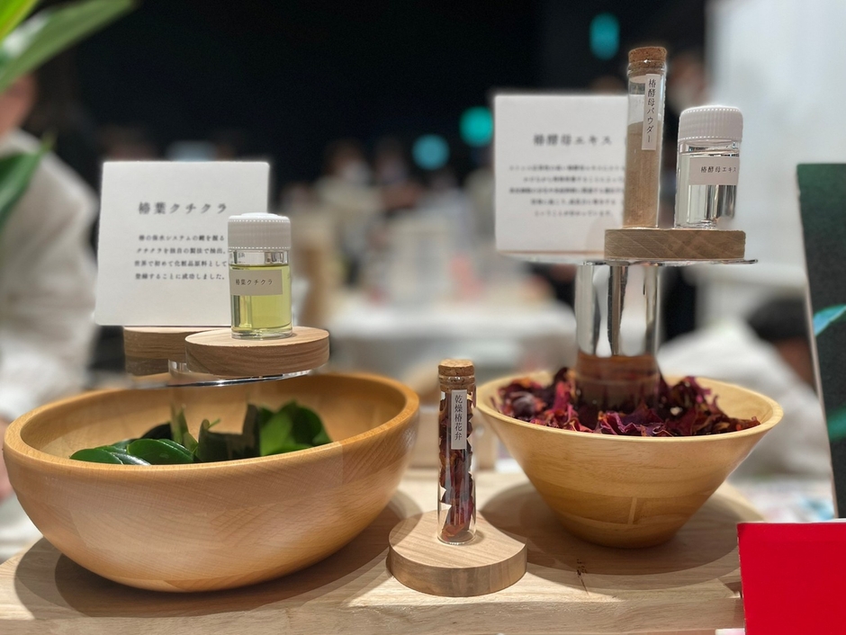 (右)独自成分の椿葉クチクラと椿酵母