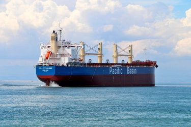 Completes and Delivers the Group&#8217;s 156th “TESS58” Bulk Carrier～TSUNEISHI HEAVY INDUSTRIES (Cebu), Inc. in the Philippines～