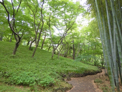 殿ヶ谷戸庭園