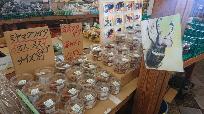 道の駅販売画像1