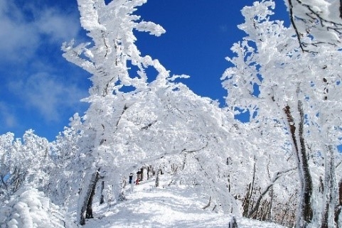 高見山山頂付近