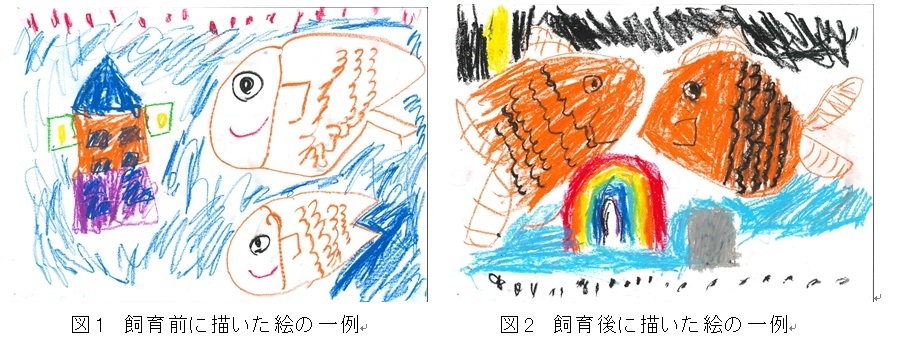 飼育前後における絵の一例