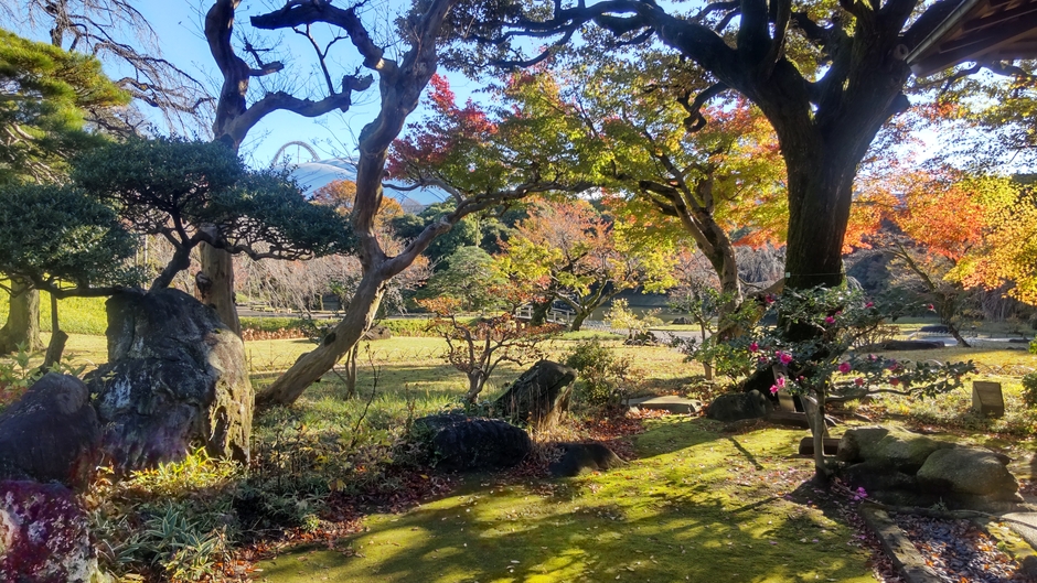 涵徳亭前庭（※イメージ）