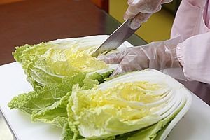 包丁だけでカットした白菜