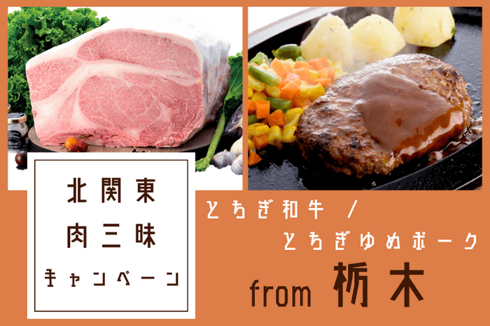 厳選！とちぎ自慢の肉グルメセット