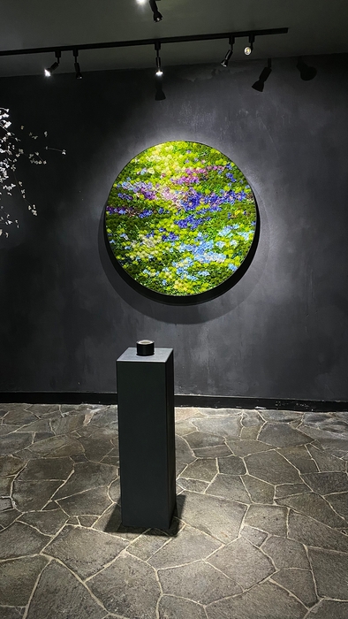 展示イメージ