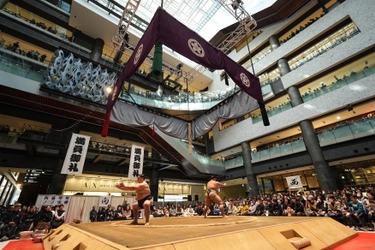 過去最高の当選倍率約64倍！ 年々人気が高まる都市型相撲イベント 「春がキタ！うめきた場所 in グランフロント大阪2026」を開催