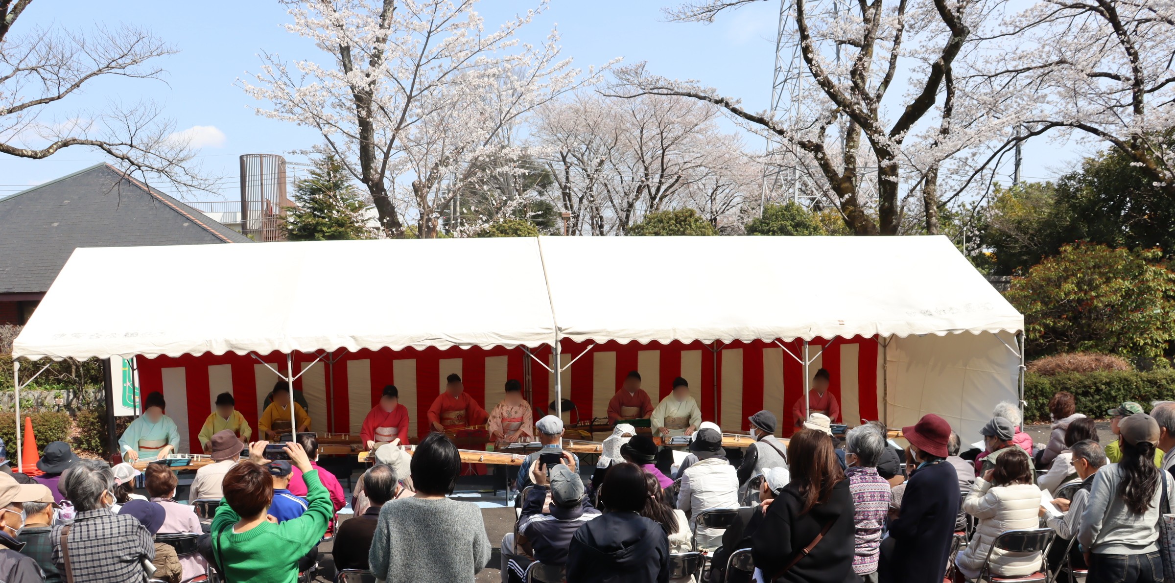 【4/4(土)】約120本の桜咲く秋留台公園で
第32回「春を紡ぐお箏の調べ」を開催！