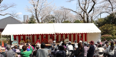 【4/4(土)】約120本の桜咲く秋留台公園で
第32回「春を紡ぐお箏の調べ」を開催！