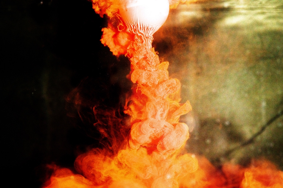 志賀理江子作品　「悲しみのすべて」　2024年