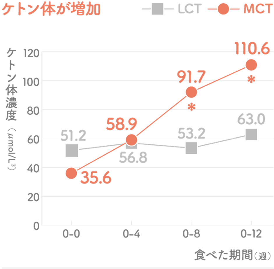 MCTオイルを2か月継続摂取でケトン体増加