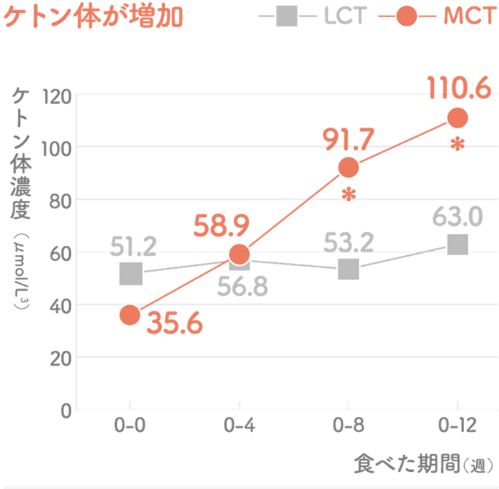 MCTオイルを2か月継続摂取でケトン体増加