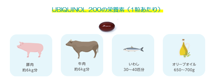 ユビキノール200㎎の栄養素