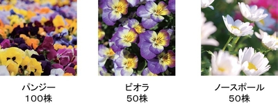 贈呈苗一覧(画像はイメージです。)