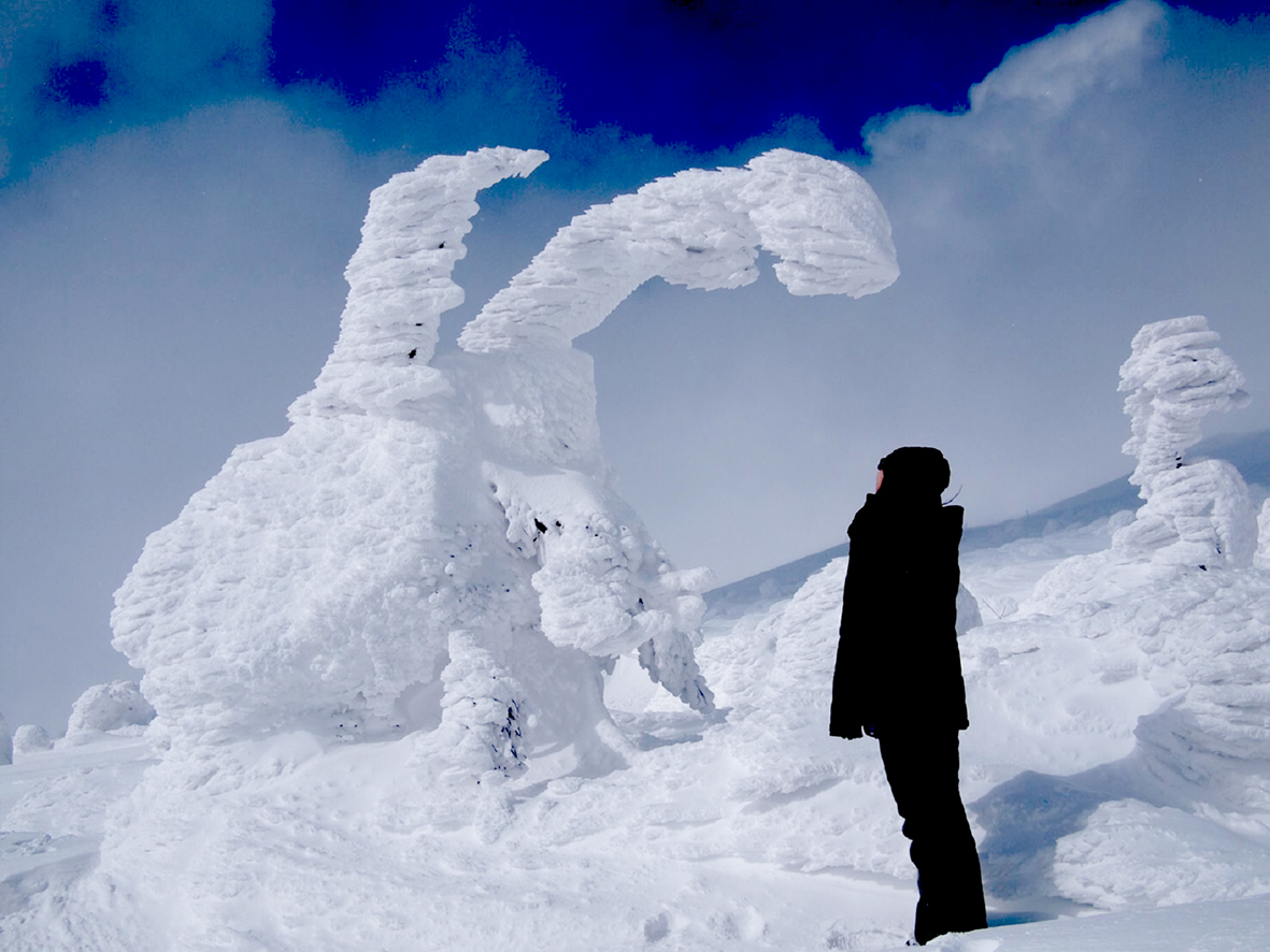 Ichinobo Reservationseat 暖房付雪上車で巡る 標高1 600mの冬のアクティビティ Newscast