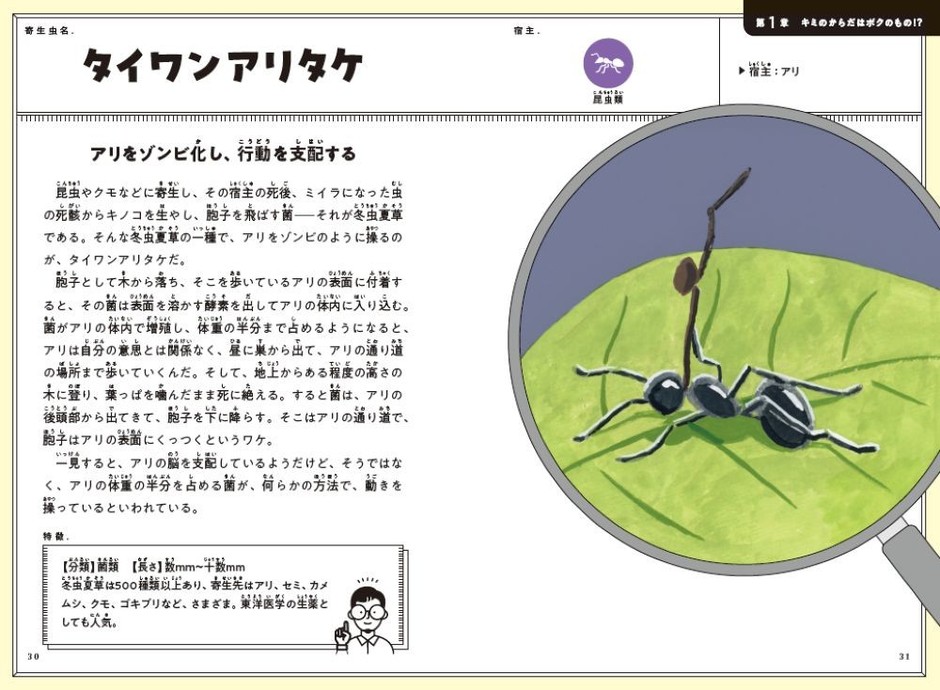 アリをゾンビ化し、行動を支配する「タイワンアリタケ」(「第1章:キミのからだはボクのもの!? ちょっとお邪魔します。」より)