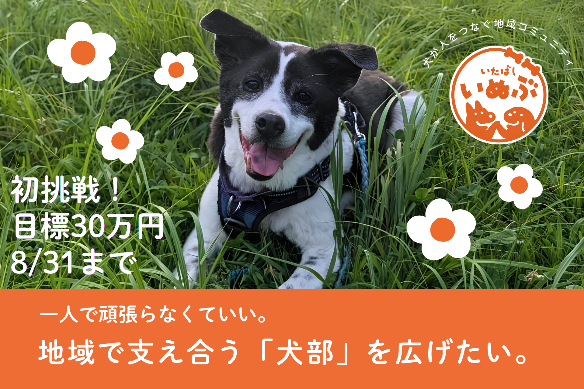 【いたばし犬部】地域で支え合う「犬のお散歩ボランティア」を広げたい！初のクラウドファンディングを7月28日より開始