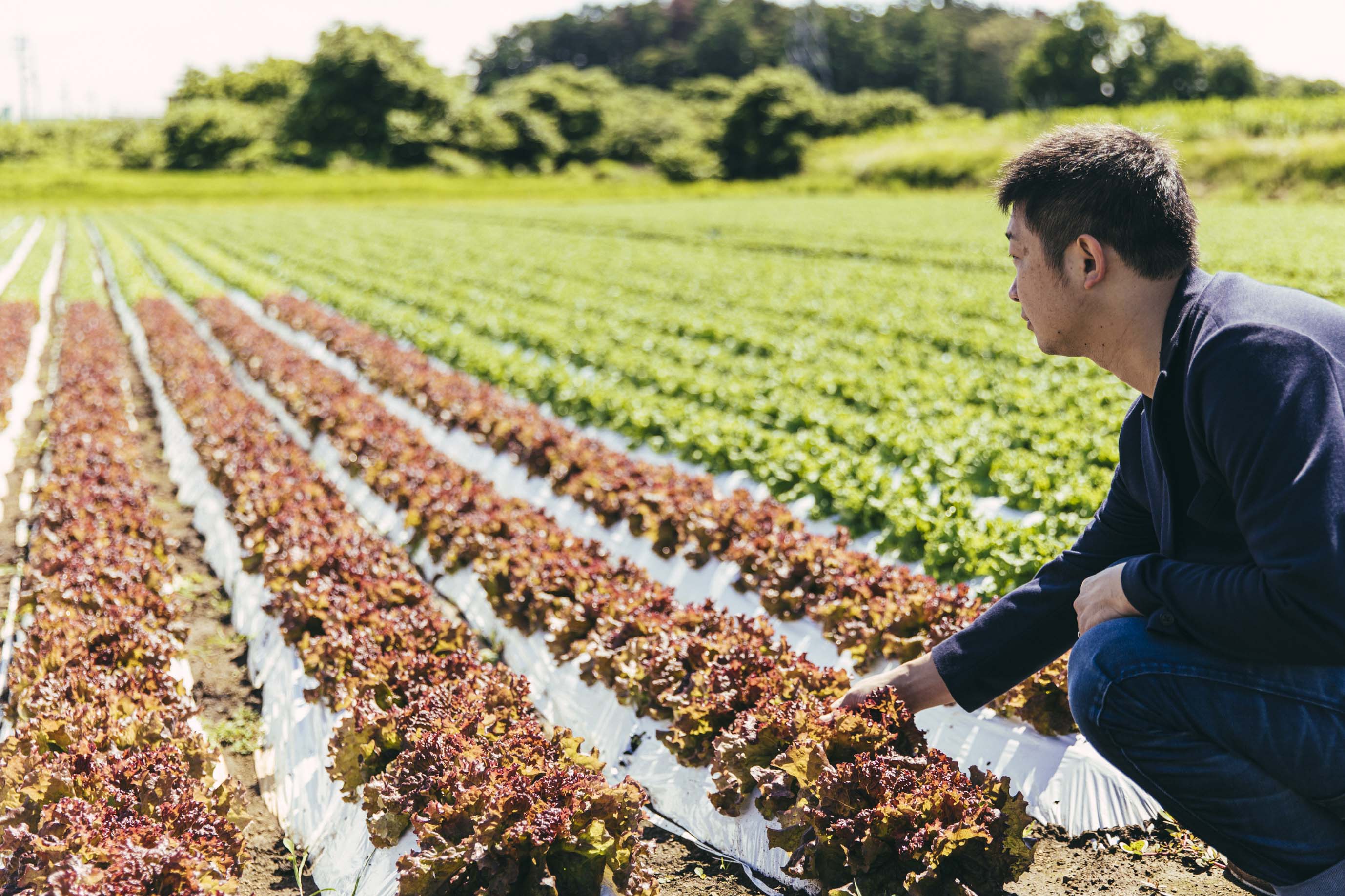 「株式会社ひらまつ」長野県御代田町の豊かな食材を使った特別コースの食事券を「さとふる」にて提供