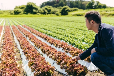 「株式会社ひらまつ」長野県御代田町の豊かな食材を使った特別コースの食事券を「さとふる」にて提供