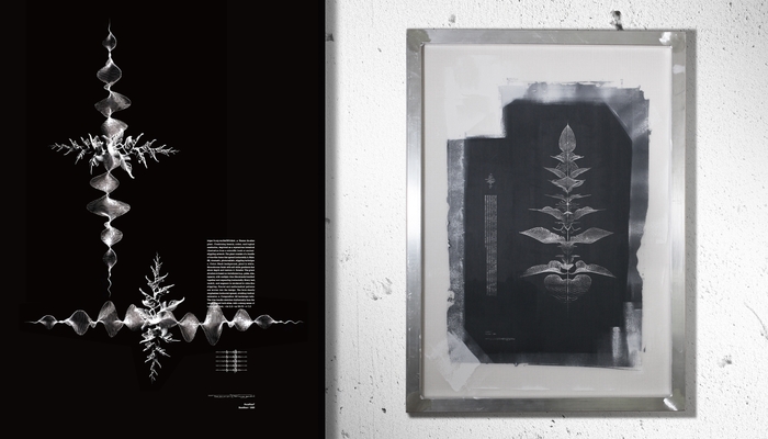 PromPlant(R) - HeatBeat シリーズ(新作)