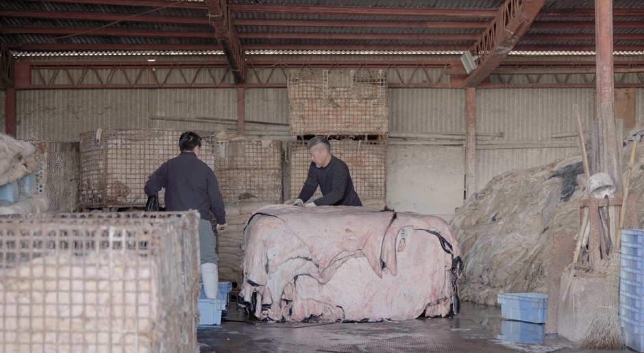 河合産業　ここでは皮は意外なものに生まれ変わる