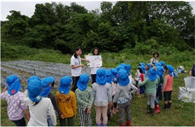 「いこまこども園」園児に食育イベントを実施　「さつまいもの苗植え」と「淡水魚展」を体験・見学