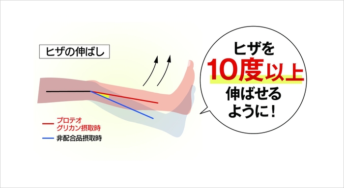 ヒト試験結果2