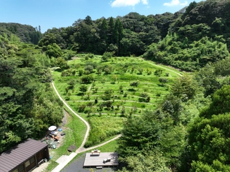 自然を創出し生態系を育てる『森の墓苑』 開苑10周年 最後の追加区画を販売中