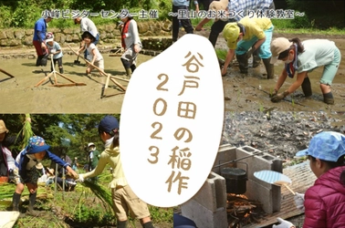 小峰公園　谷戸田の稲作2023　参加者募集中‼