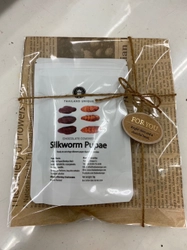 カーディーラーの千葉スズキ販売より、バレンタインに向けて チョコレート味の昆虫食「チョコシルクワーム」が1月26日発売！