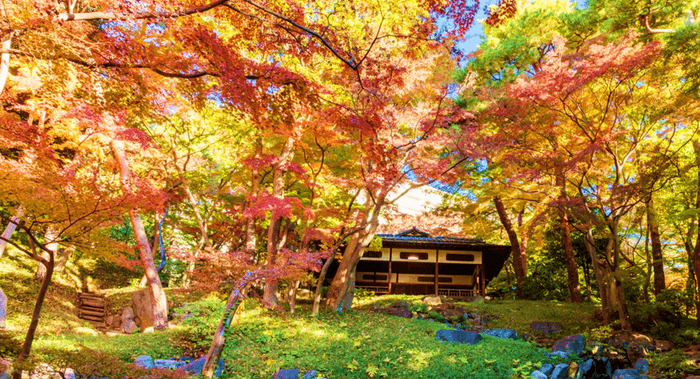 過去の紅葉の様子（紅葉亭）