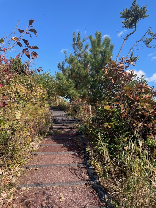 トレッキングコース階段