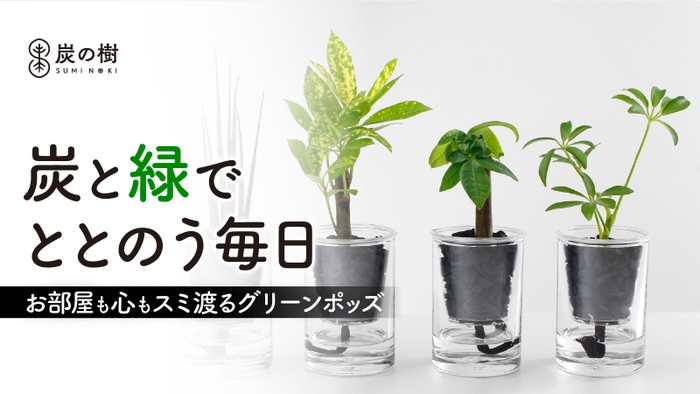 土不要!ブランド炭が水と空気のバランスを保つ。ズボラでも枯らさない新感覚グリーン