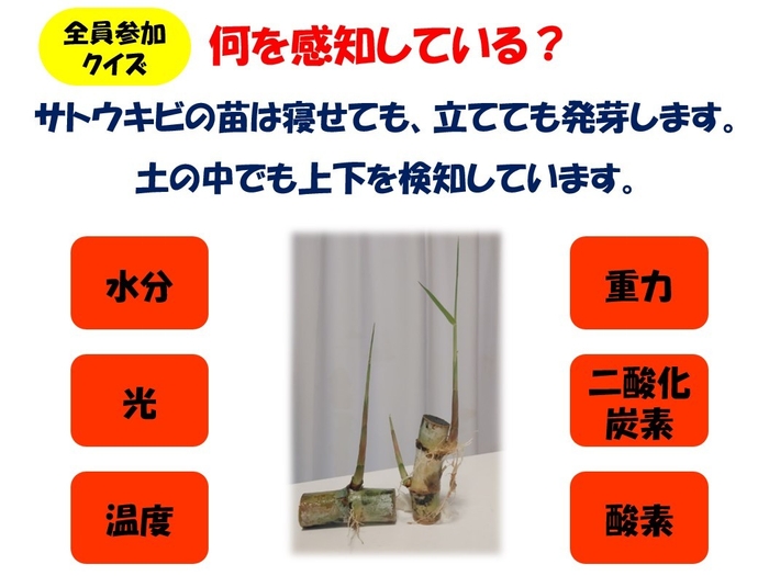 資料抜粋 科学