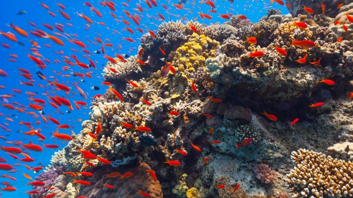 最大100メートルまで潜水、最長7時間使用