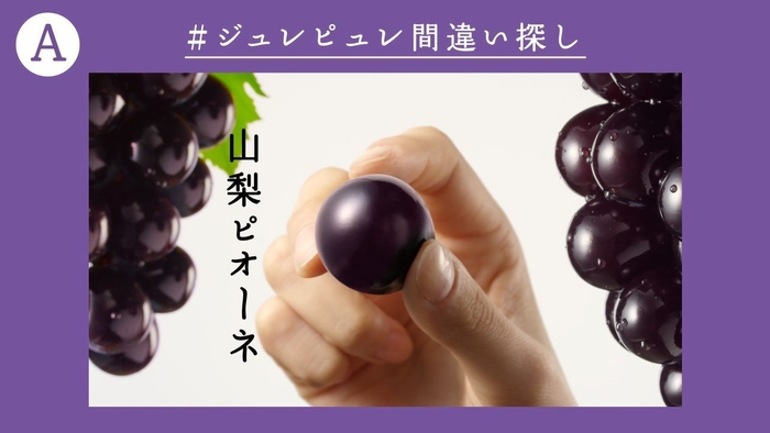 超難問 #ジュレピュレ間違い探し A(正しい動画)