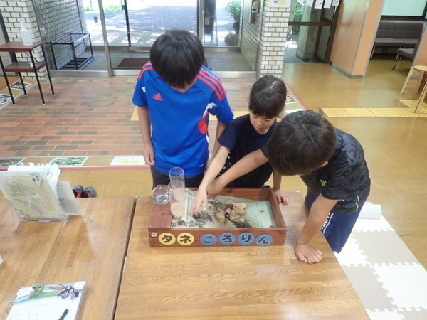 遊んでいる様子