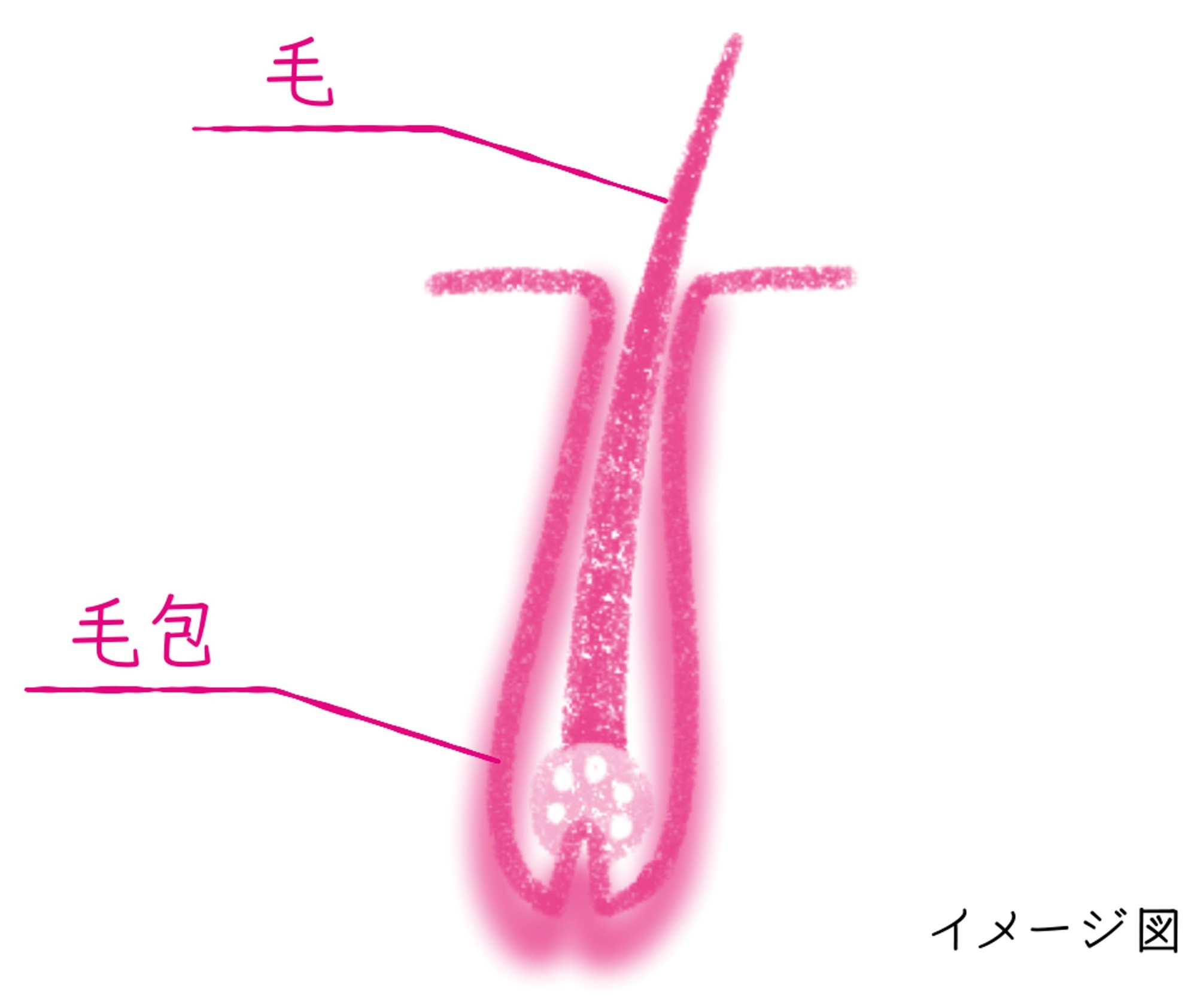 【「抜け毛」の検索数が急上昇する秋到来】 髪の長さによって抜け毛の見え方はこんなに違う！