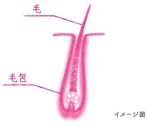 【「抜け毛」の検索数が急上昇する秋到来】 髪の長さによって抜け毛の見え方はこんなに違う！