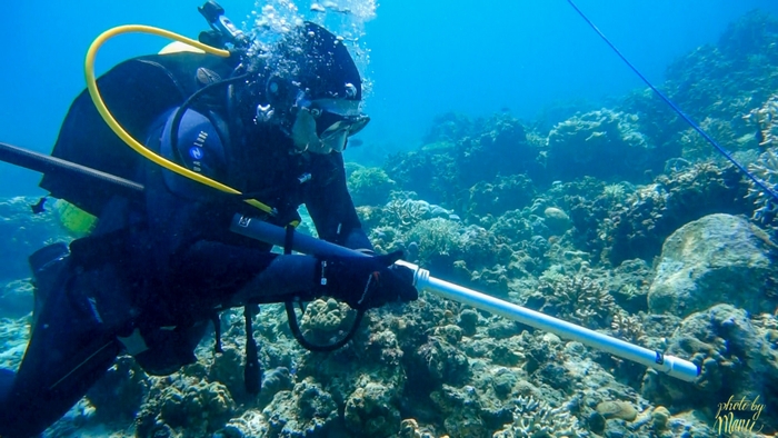 約400年前の沈没船から水中文化遺産を発掘・保護するプロジェクトのスポンサード