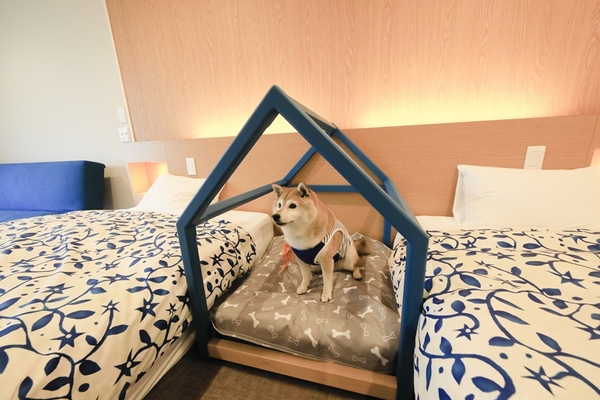 愛犬と一緒にご宿泊いただける4タイプの客室