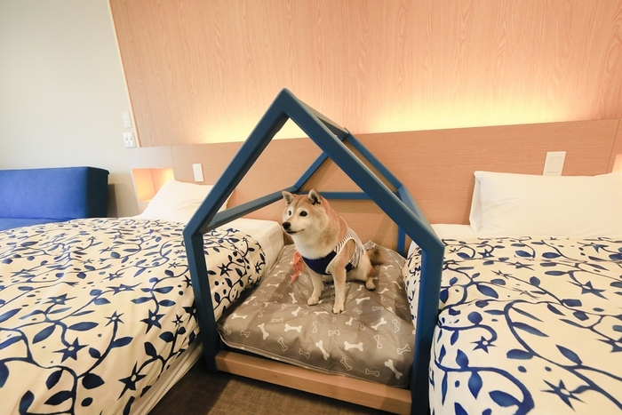 愛犬と一緒にご宿泊いただける4タイプの客室