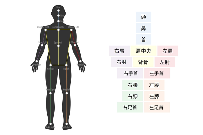 3D時骨格検出図(17ポイント)