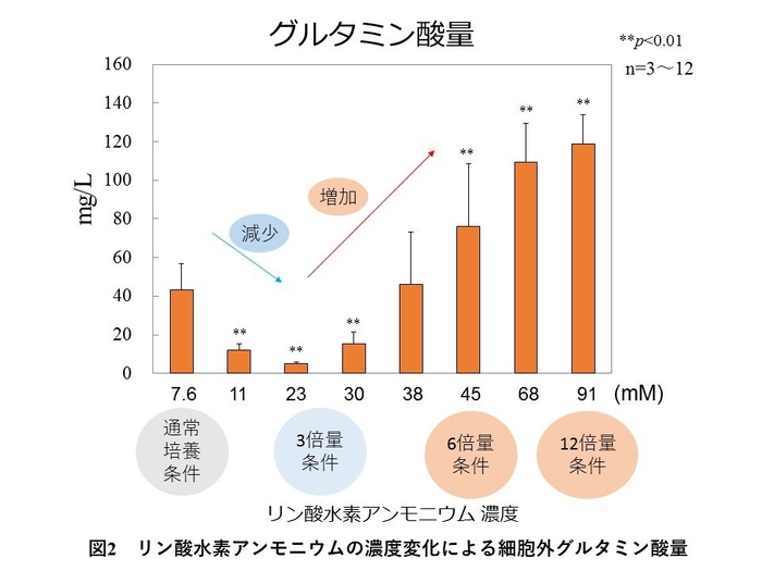 図2 リン酸水素アンモニウムの濃度変化による細胞外グルタミン酸量