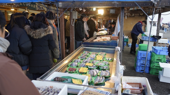 見るだけでも楽しい!