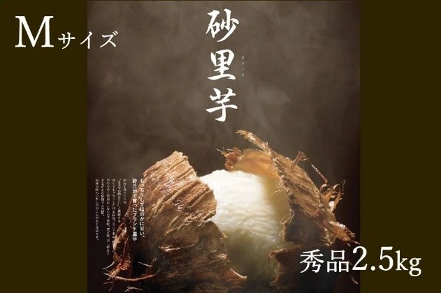 〇さといも 砂里芋(さりいも) 秀品2.5㎏Mサイズ