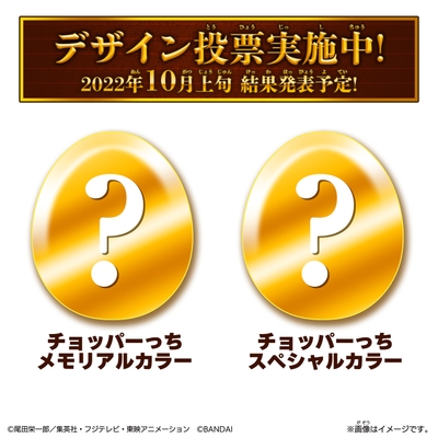 デザイン投票実施中!