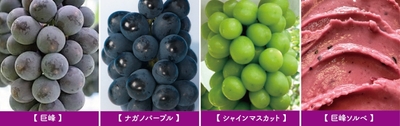 旬のぶどう直売とジェラート専門店の巨峰ソルベ