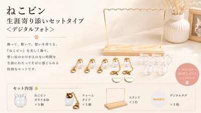 生涯寄り添いセット