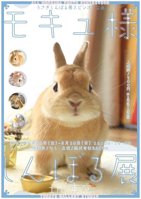 キービジュアル(縦)